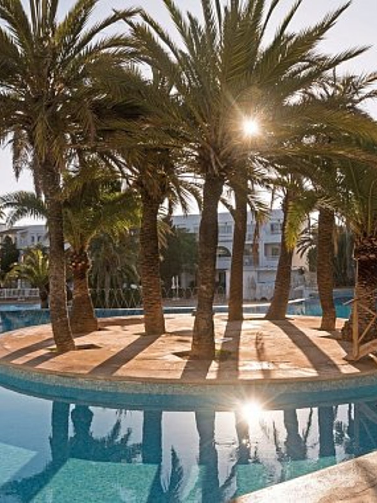 A serene pool area featuring a circular island with palm trees, surrounded by clear blue water, with sunlight filtering through the leaves creating reflections and shadows.