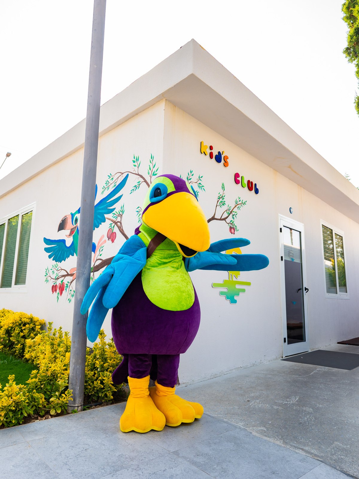 White wooden building labeled 'Calimigo Kids Club' with large windows, surrounded by greenery and a tree decorated with a colorful knitted cover